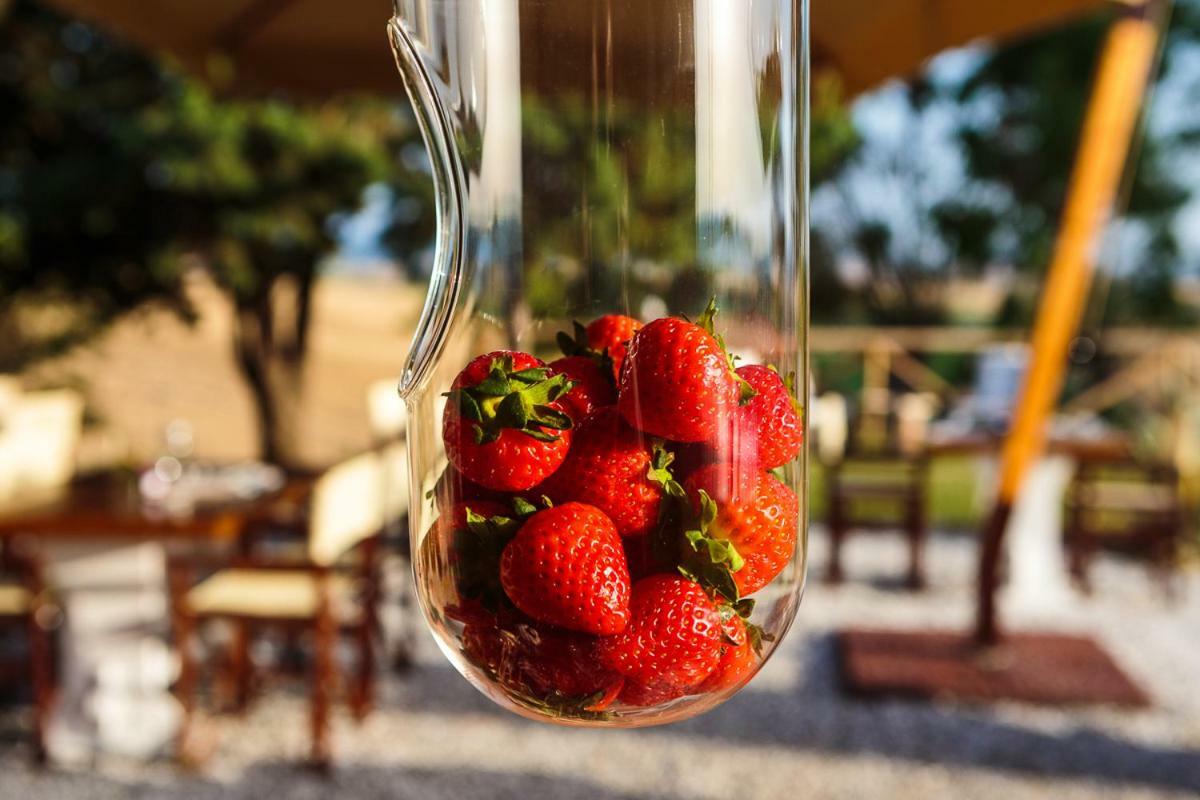 Bed and Breakfast Il Montelletto Santa Luce Exterior foto